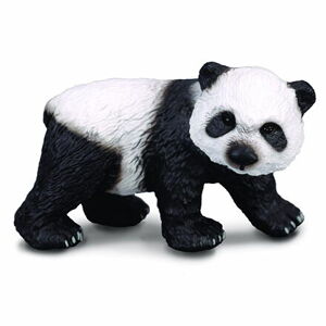 Panda veľká - mláďa
