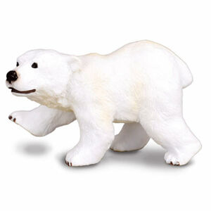 Medveď polárny, mláďa stojace