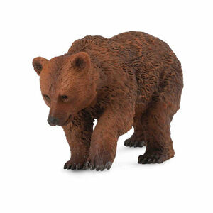Medveď hnedý - mláďa