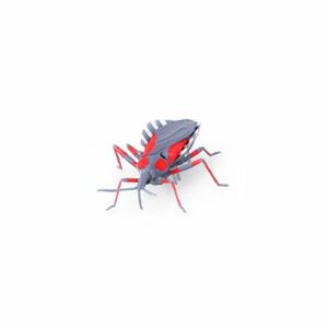 HEXBUG Real Bugs - Asasínský chrobák