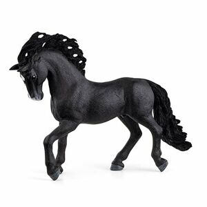 Zvieratko - žrebec andalúzskeho koňa