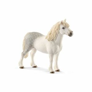 Zvieratko - waleský poník žrebec