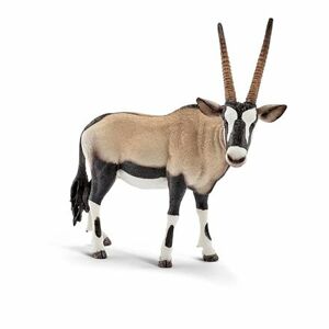 Zvieratko - antilopa Oryx