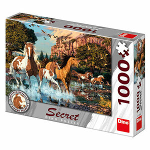 Dino puzzle Kone 1000D secret collection