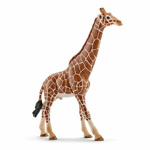 Schleich Zvieratko - žirafa samec