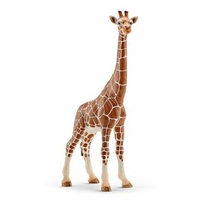 Schleich Zvieratko - žirafa samica