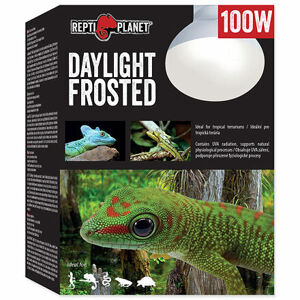 Žiarovka REPTI PLANET Daylight Frosted 100 W