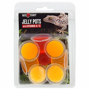 Krmivo REPTI PLANET Jelly Pots Fruit 8 ks