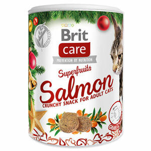 BRIT Care Cat Christmas Superfruits 100 g