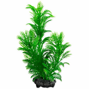 Rastlina TETRA Green Cabomba S 1 ks
