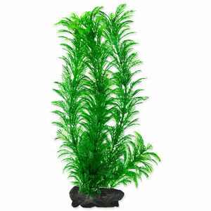 Rastlina TETRA Green Cabomba L 1 ks