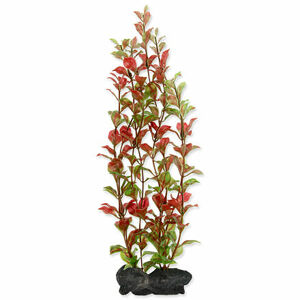 Rastlina TETRA Red Ludwigia L 1 ks