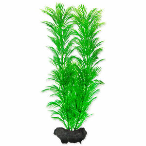 Rastlina TETRA Green Cabomba M 1 ks