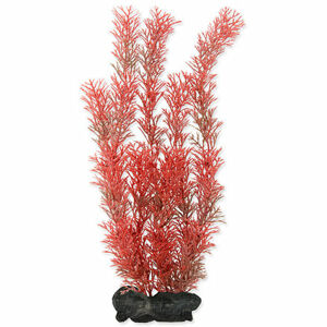 Rastlina TETRA Foxtail Red L 1 ks
