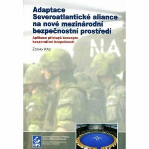 Adaptace Severoatlantické aliance na nové mezinárodní bezpečnostní prostředí: Aplikace přístupů konc