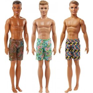 Mattel Barbie Ken v plavkách, viac druhov