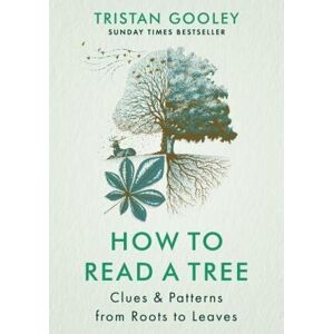 How to Read a Tree : Clues & Patterns from Roots to Leaves