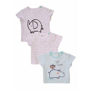Dojčenské tričko s krátkym rukávom 3pack, Minoti, Koala 3, biela - 56/62 | 0-3m