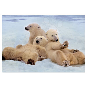 Educa Puzzle Rodinka ľadových medveďov 500 dielov 14434 farebné