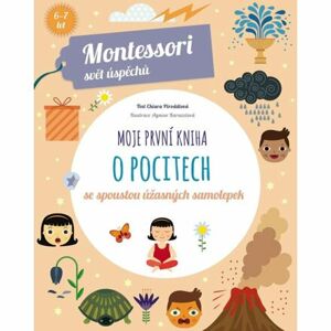 Moje první kniha o pocitech (Montessori: Svět úspěchů)
