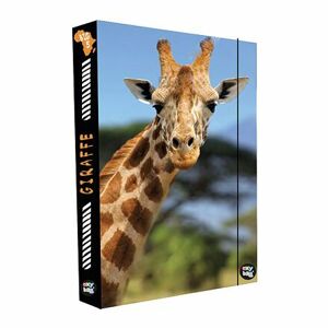 Oxybag Box na zošity A4 Jumbo Žirafa