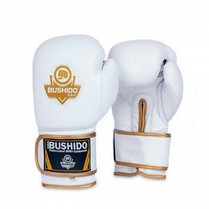 BUSHIDO SPORT Boxerské rukavice BUSHIDO DBD-B-2 Veľkosť: 14 oz