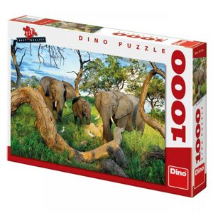 Slony z Botswany 1000D