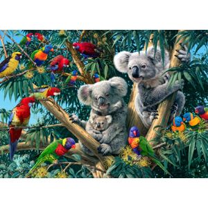Dino puzzle Koaly 1000 dielikov secret collection