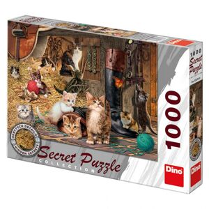 Dino Mačičky 1000D secret collection