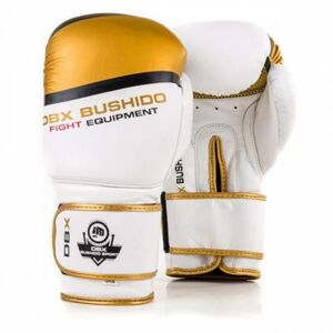 BUSHIDO SPORT Boxerské rukavice BUSHIDO DBD-B-2 v1 Veľkosť: 10 oz