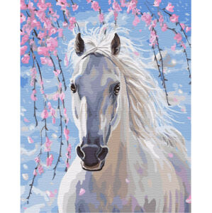 Maľovanie podľa čísel 40x50 cm RAMIZ - biely kôň