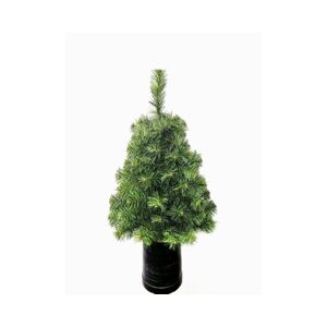 Limpol Vianočný stromček malý 0,6 m v črepníku