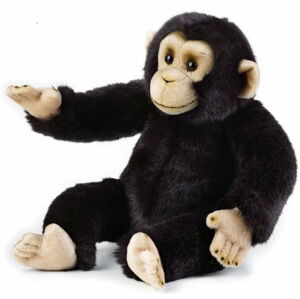 National Geographic maňuška Šimpanz 26 cm
